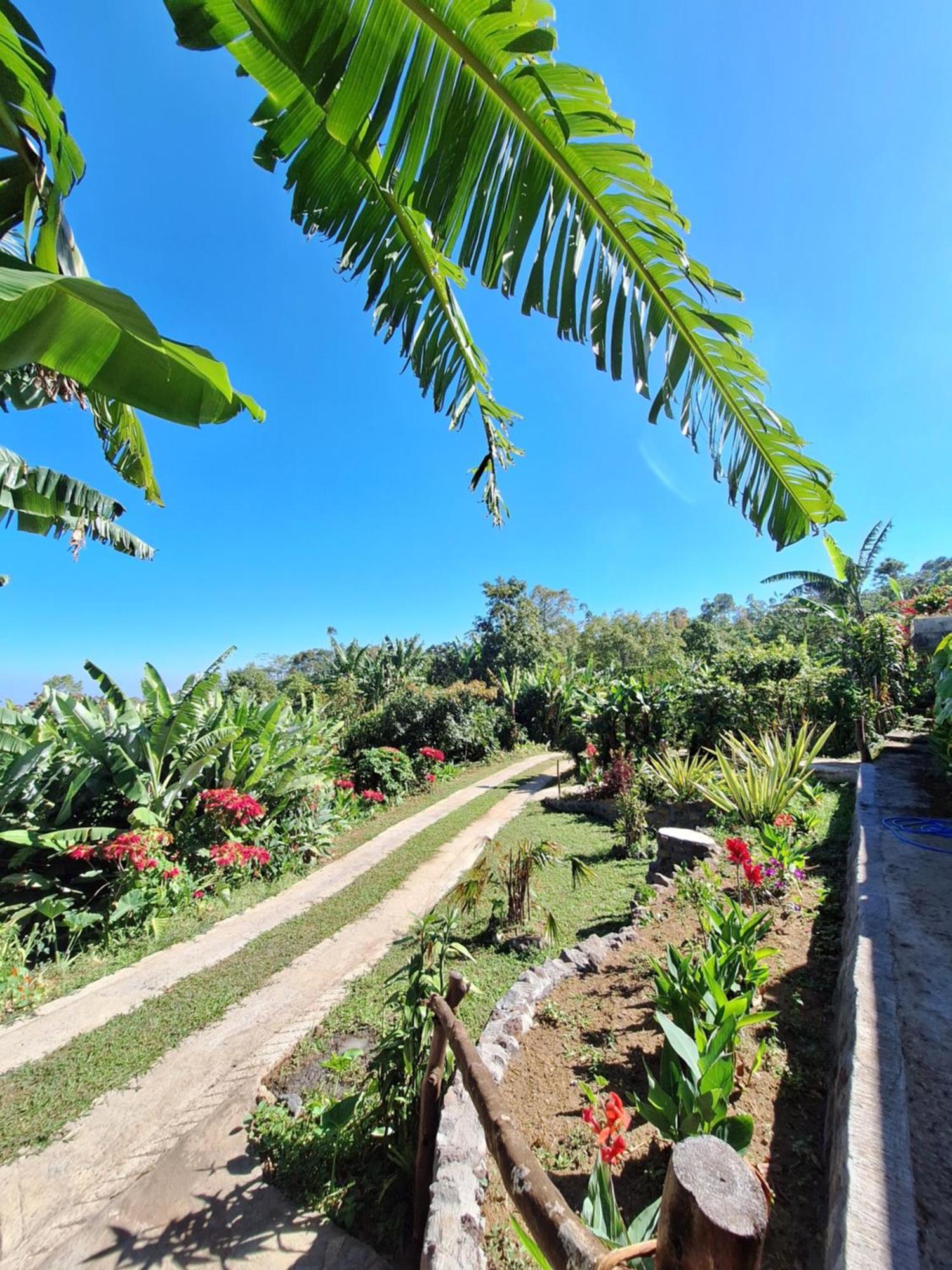 Manigelang Villa Munduk Exterior foto