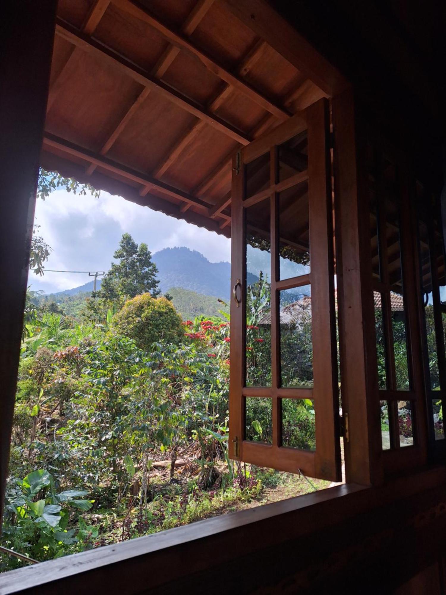 Manigelang Villa Munduk Habitación foto